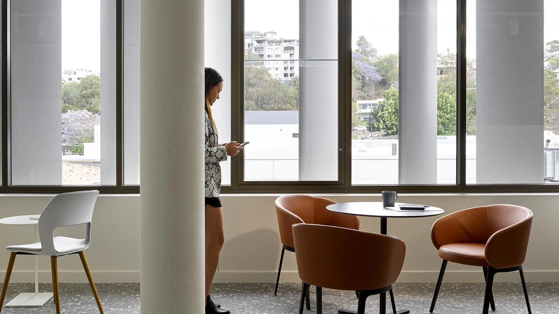 Aneeta Sashless Windows